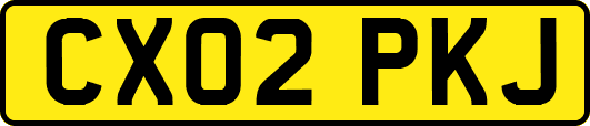 CX02PKJ
