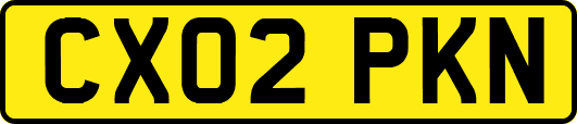 CX02PKN