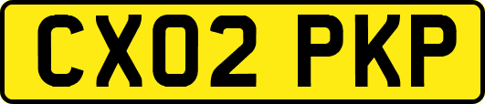 CX02PKP