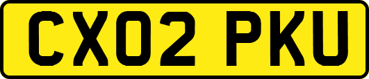 CX02PKU