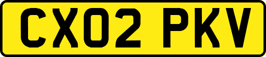 CX02PKV