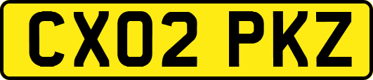 CX02PKZ
