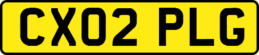 CX02PLG