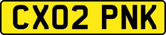 CX02PNK