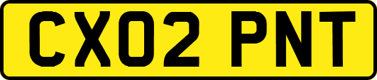 CX02PNT