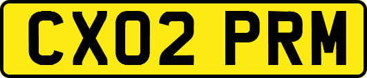 CX02PRM