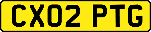 CX02PTG