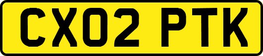 CX02PTK