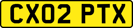 CX02PTX