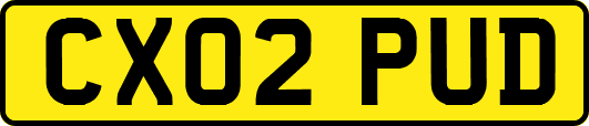 CX02PUD