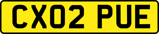 CX02PUE