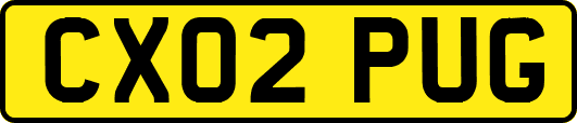 CX02PUG