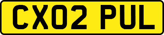 CX02PUL