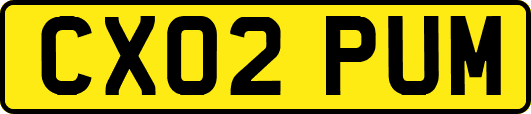 CX02PUM