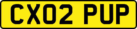 CX02PUP