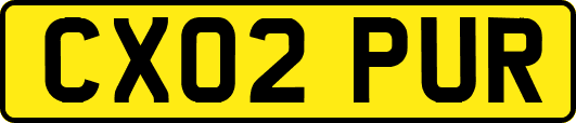 CX02PUR