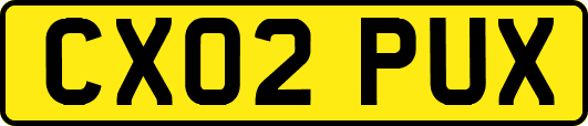 CX02PUX