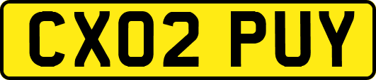 CX02PUY