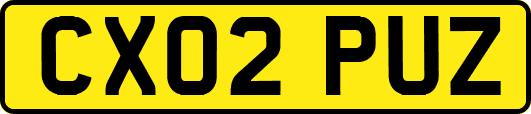 CX02PUZ