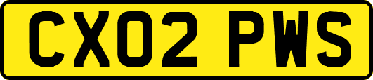 CX02PWS