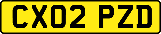 CX02PZD