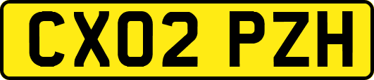 CX02PZH