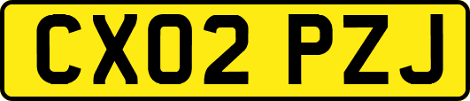 CX02PZJ