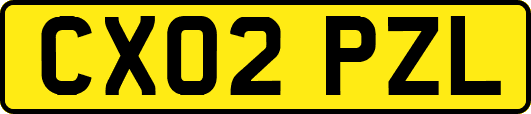 CX02PZL
