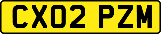 CX02PZM