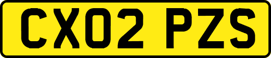CX02PZS
