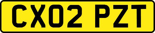 CX02PZT