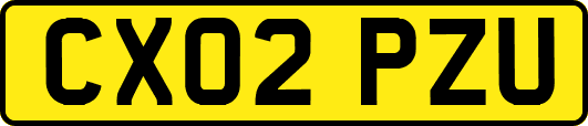 CX02PZU