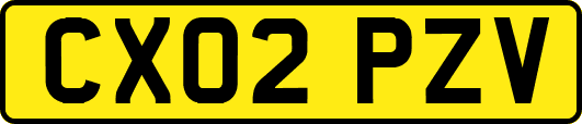 CX02PZV