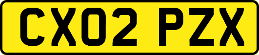 CX02PZX