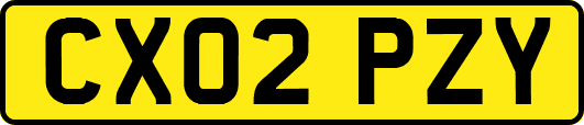 CX02PZY