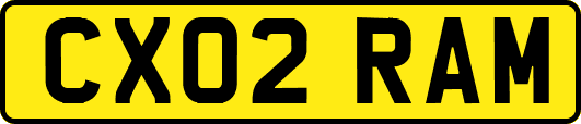 CX02RAM