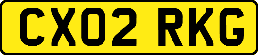 CX02RKG