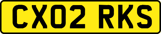 CX02RKS