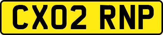 CX02RNP