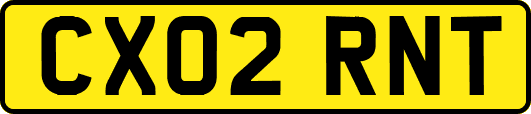 CX02RNT