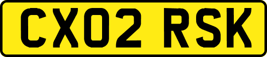 CX02RSK