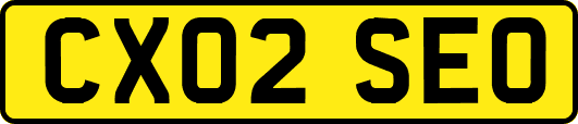 CX02SEO
