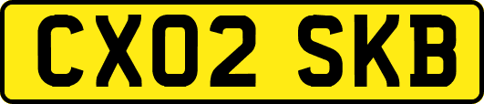CX02SKB