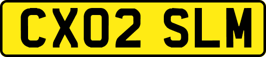 CX02SLM