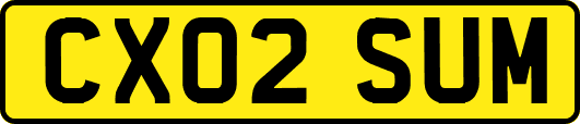 CX02SUM