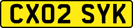 CX02SYK