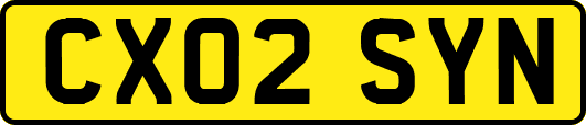 CX02SYN