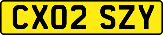 CX02SZY