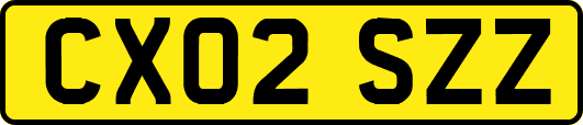 CX02SZZ