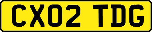 CX02TDG
